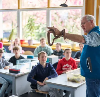 Paedagogische Entfaltung